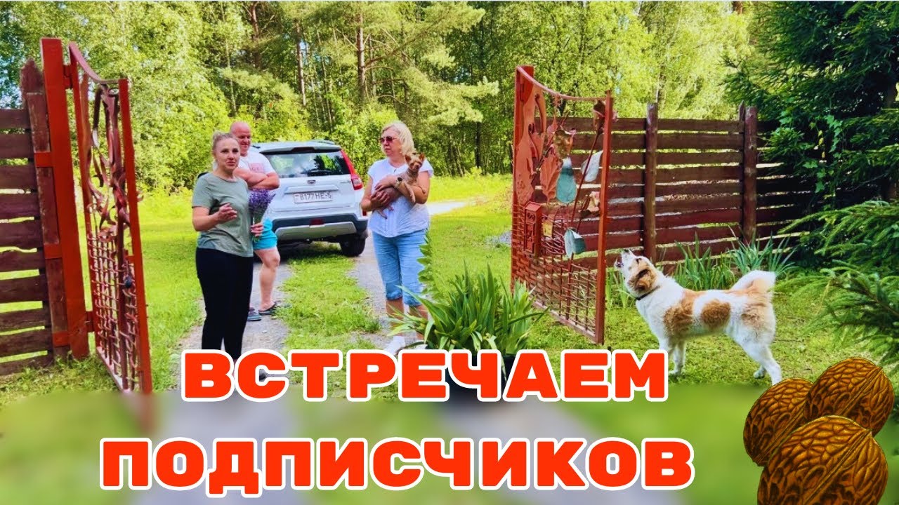 ЖИЗНЬ СЕМЬИ НА ГЛУХОМ БЕЛОРУССКОМ ХУТОРЕ. ГОТОВИМ ВАРЕНЬЕ ИЗ ГРЕЦКИХ ОРЕХОВ. ВСТРЕЧА ПОДПИСЧИКОВ.
