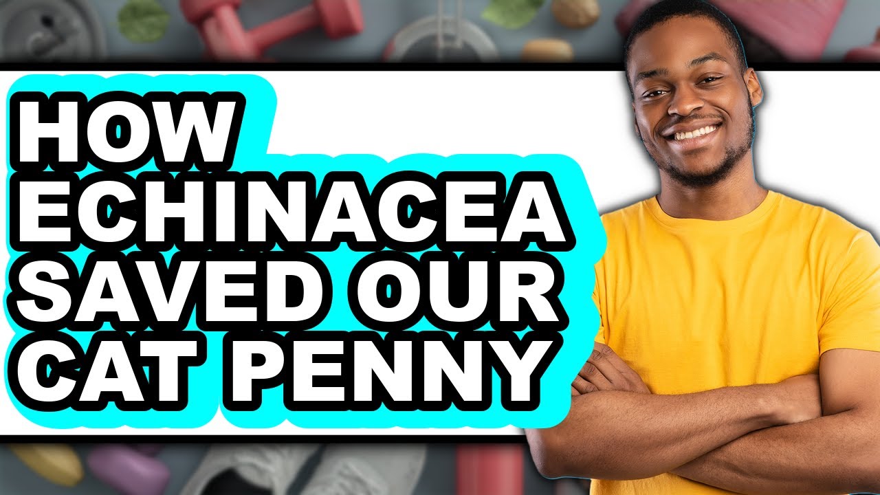 How Echinacea Saved Our Cat Penny - Easy Guide