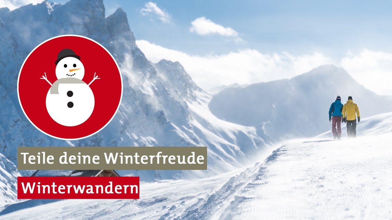 Spazieren im Wald in Savognin Bivio Albula - Teile deine Winterfreude