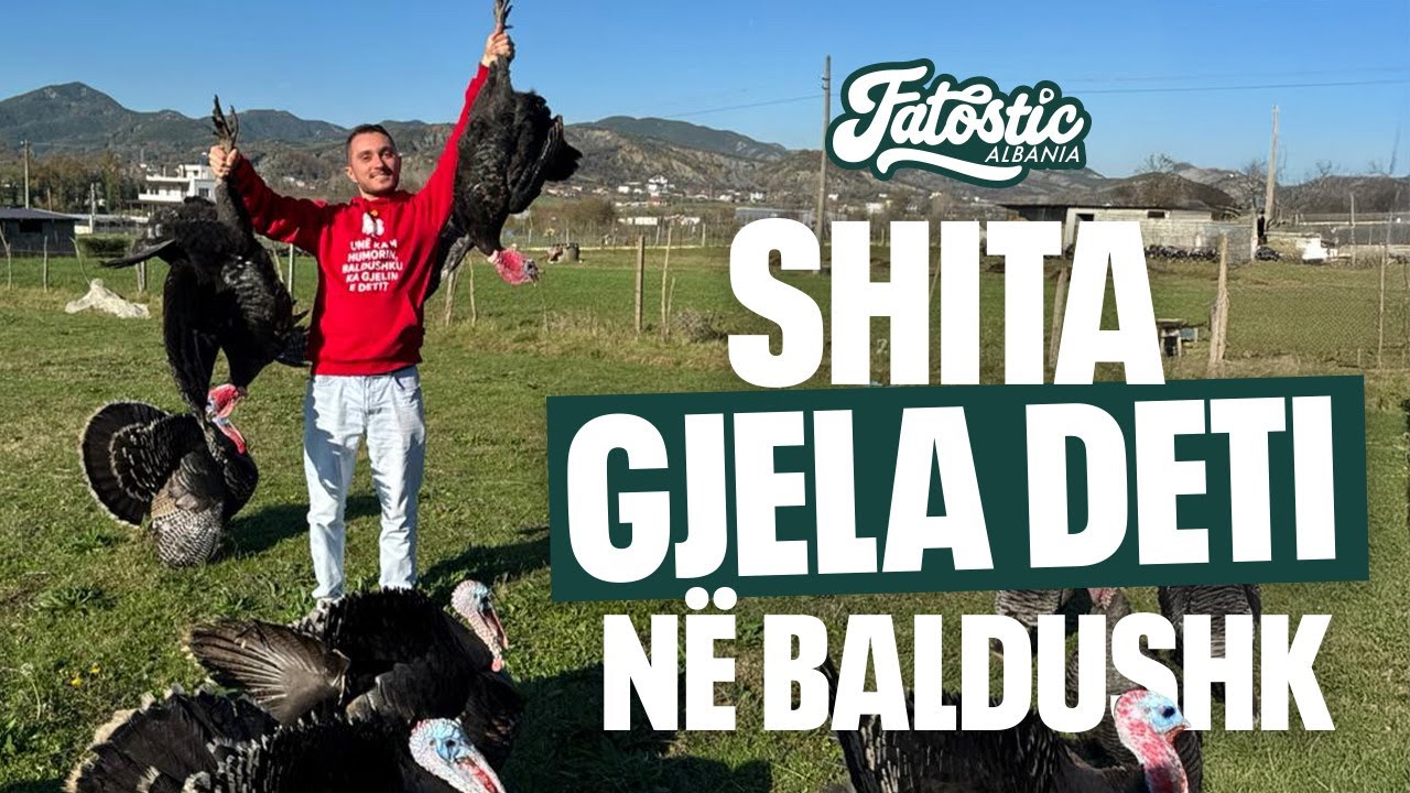 Gjelat e Baldushkut po bëjnë namin! Pse i duan të gjithë? | Fatostic Albania S1 E9