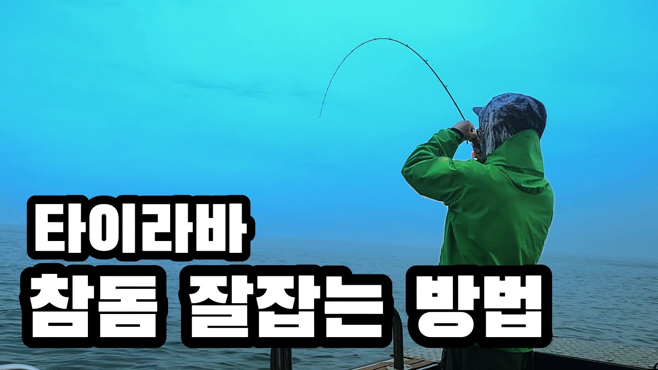 인천 영흥도 참돔 타이라바 운영 및 실전테크닉ㅣ금강7호