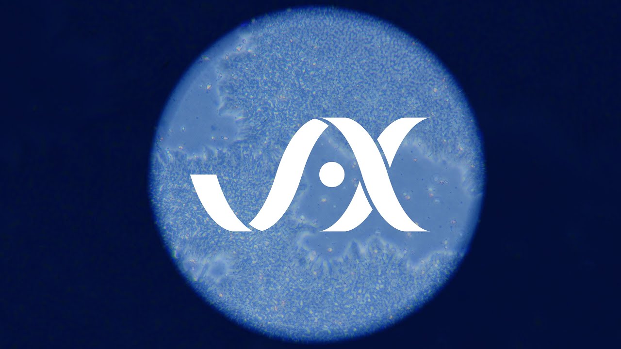JAX in Motion | MorPhiC: Cellular Modeling At Scale