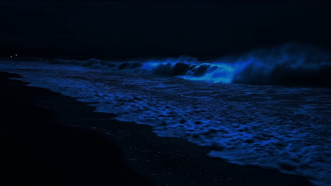 (No Ads) Deep Relaxation Music | Soothing Waves In Quiet Night For Restore Your Body & Mind Relaxing