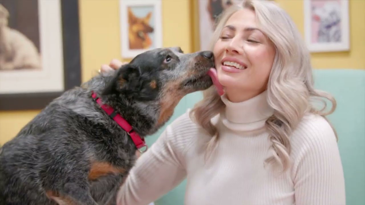 Doggy DNA - S2E10