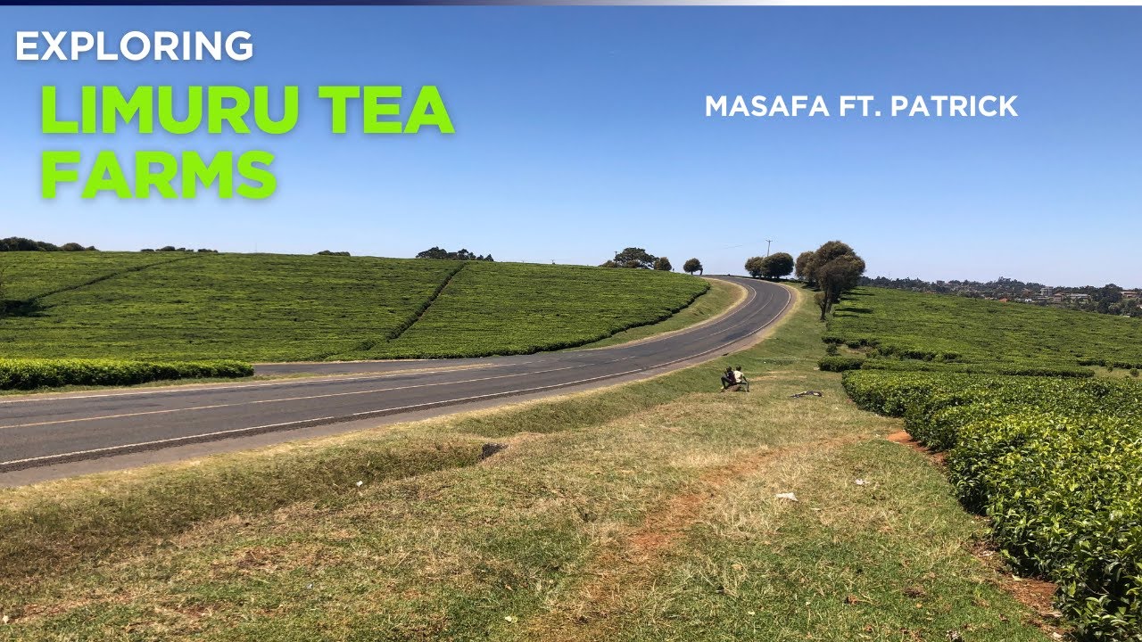 Limuru Tea