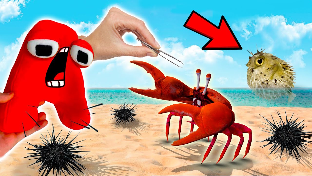 Alphabet Lore Fishing Fun at the Beach | Alphabet Lore in Real Life