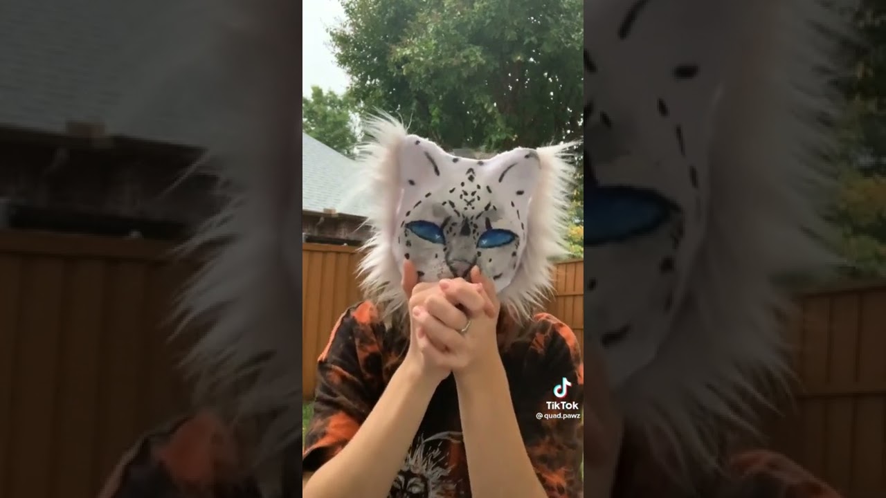 🐾Therian/Quadrobics TikToks #4 (because you guys love these😂😁)🐾