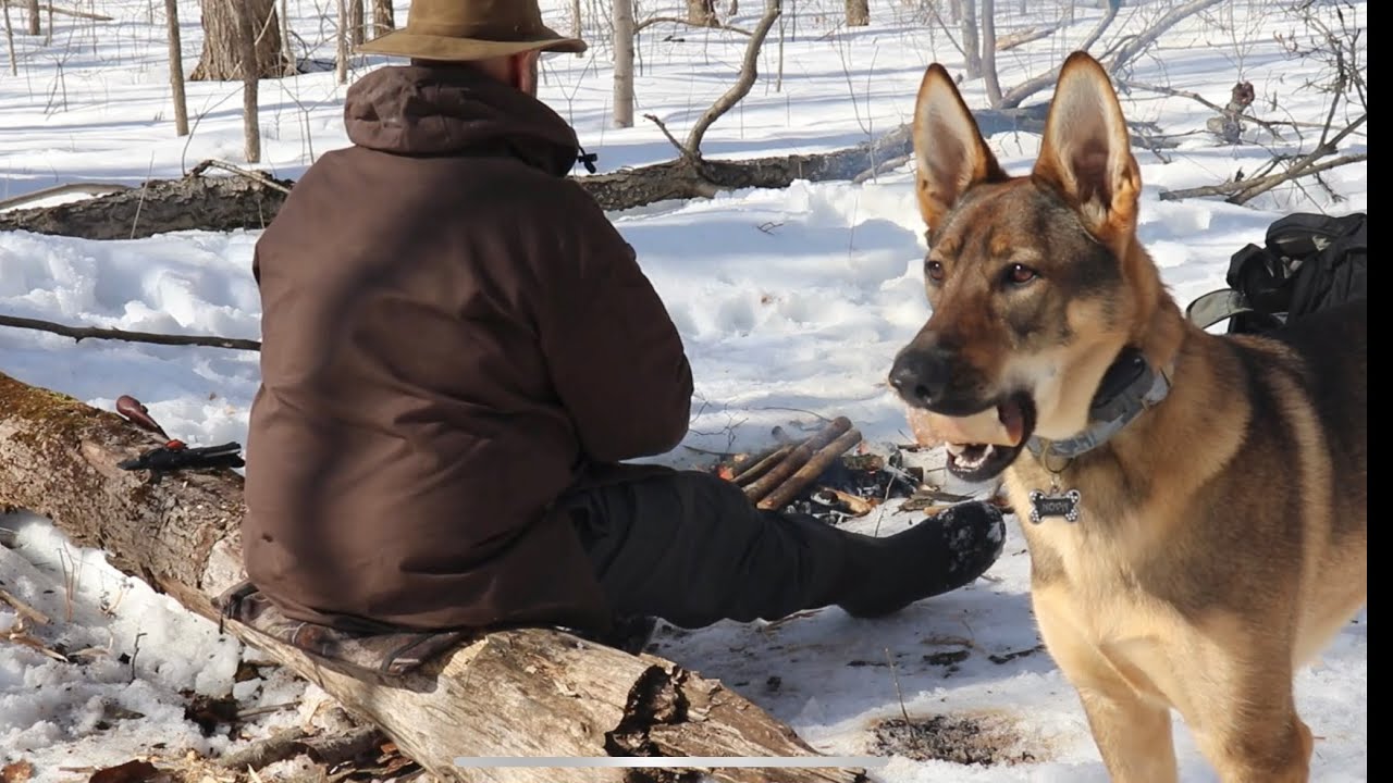 A Campfire, a Dog and a Knife- Fallkniven F1X