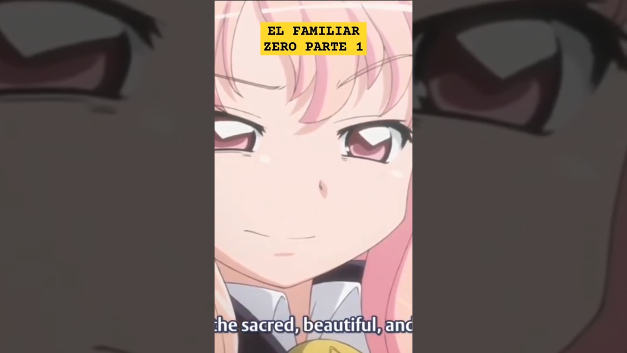 El Familiar de Zero (Zero no Tsukaima) 