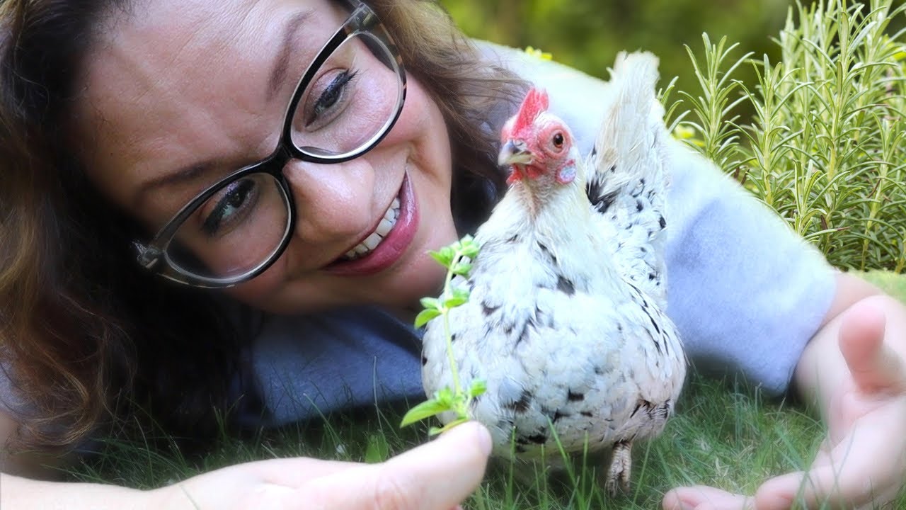 Grow an ENTIRE HERB GARDEN for Your CHICKENS 🌱🐔❤️