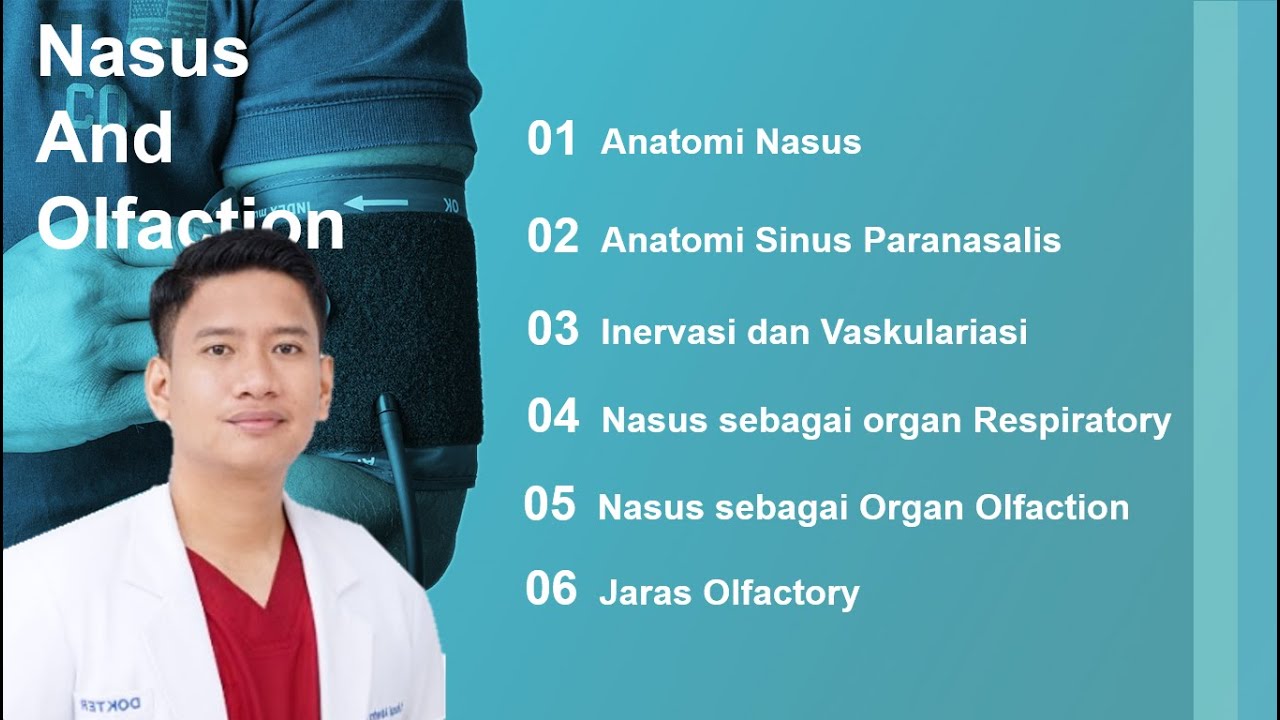 Hidung dan Olfactory - Anatomi, Fisiologi dan Histologi