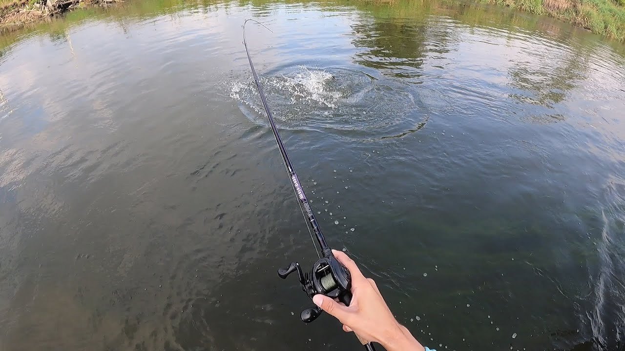 Late Summer Smallmouth Bass Fishing - BIG and BRONZE !
