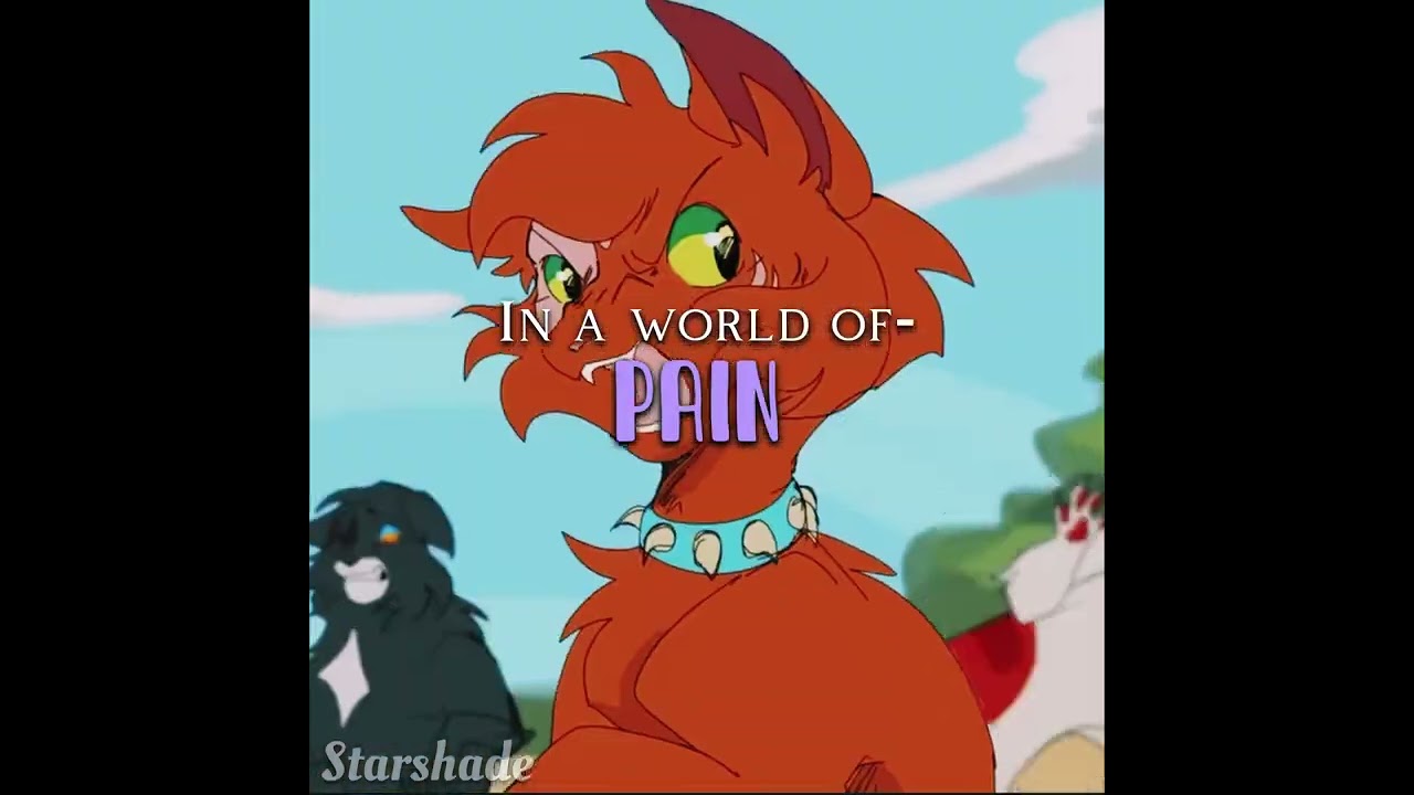 I don&rsquo;t think you&rsquo;re ready for the takedown/Warrior cats #warriorcats #edit #kpopdemonhunters 