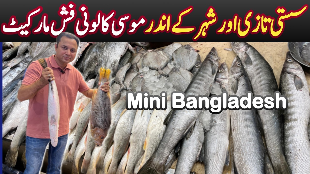 Unbeatable Prices, Unmatched Freshness – Moosa Colony Fish Market Karachi | Fish Market in Pakistan