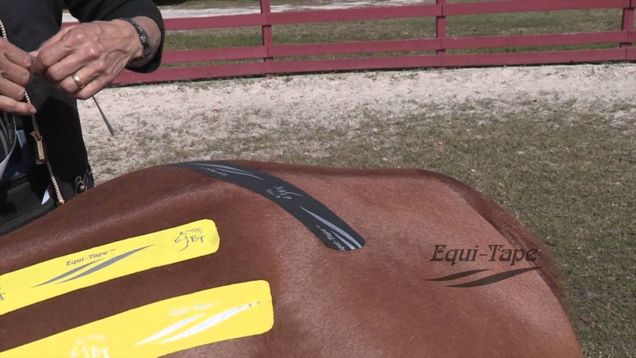 Equi-Taping a Horses' Sacroilliac