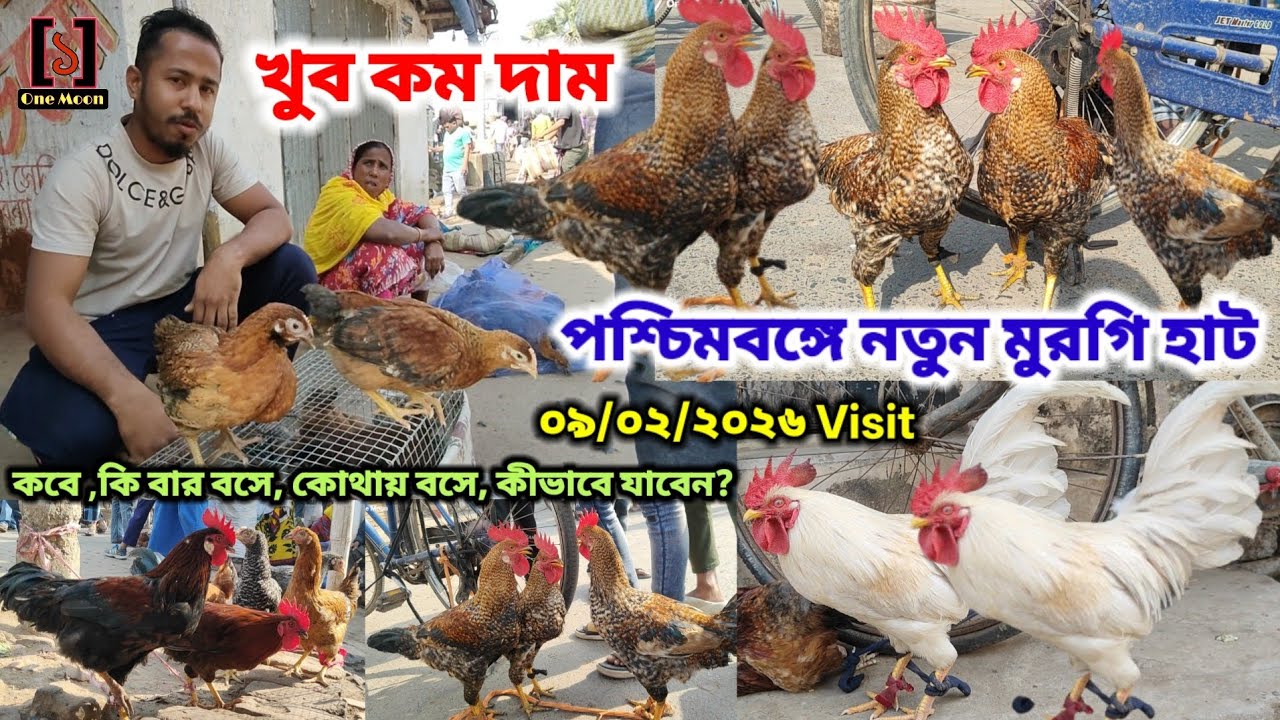 পশ্চিমবঙ্গে নতুন মুরগি হাট | Cheapest Pet Market In Kolkata | New Murgi Market