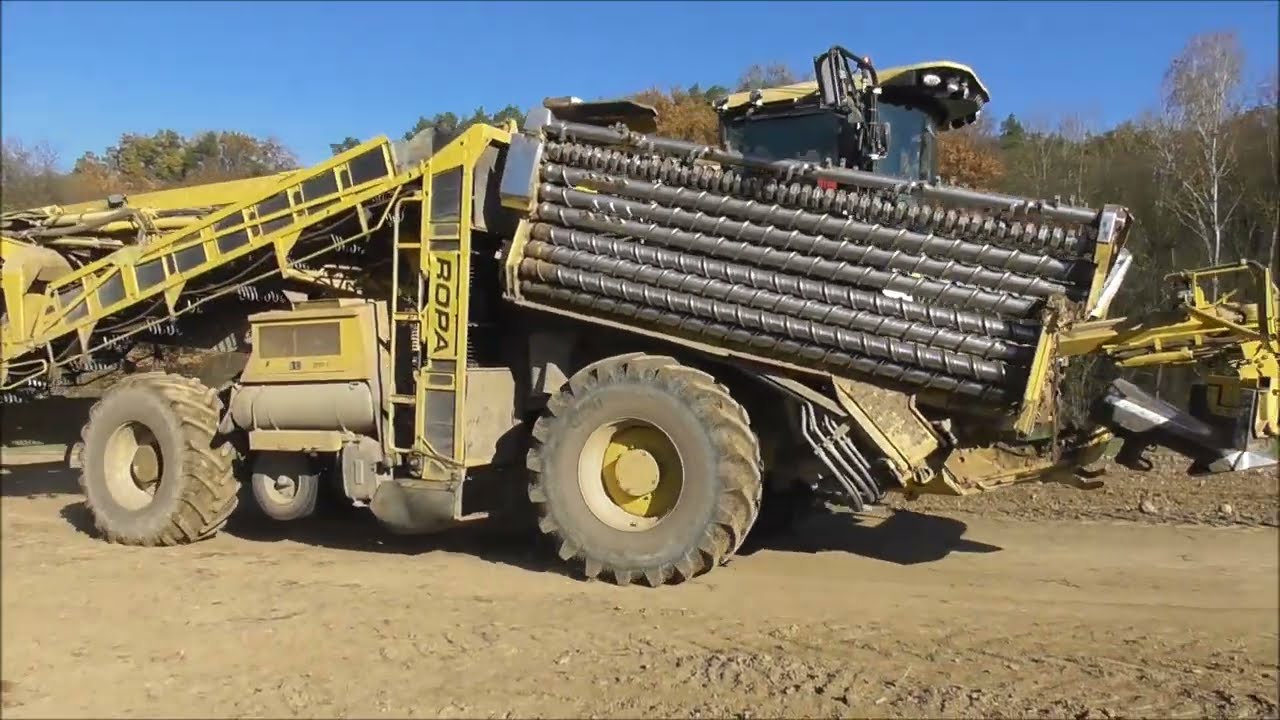 Řepná kampaň Ropa Maus 5 a 6