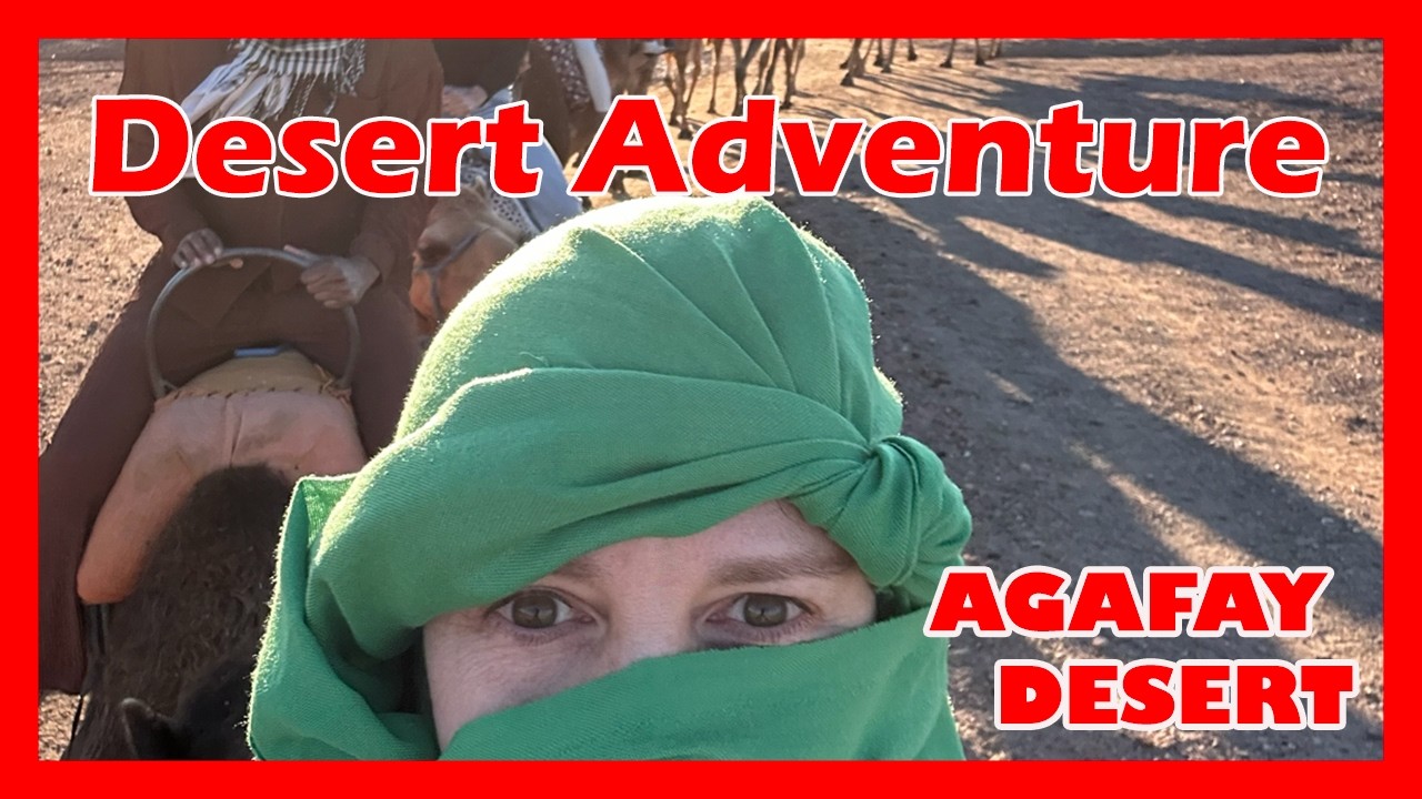A Day to the Desert near Marrakesh Morocco