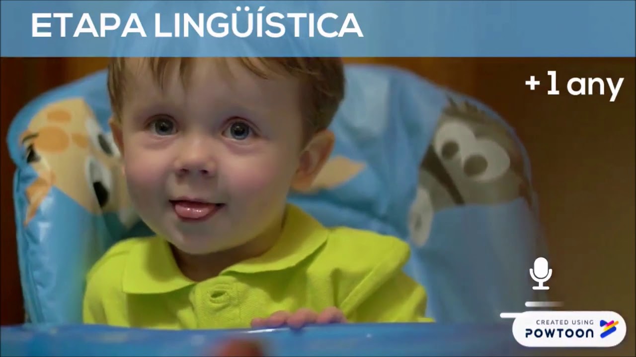 Desenvolupament del llenguatge  -  Cristina  Rius Marsillach