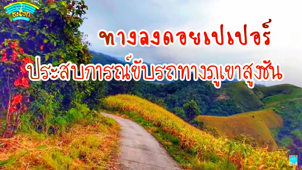 ผืนป่าตะวันตก EP13 รีวิวทางลงดอยเปเปอร์ท่าสองยาง เทคนิคการขับรถลงดอยสูงชันประสบการณ์จากดอยเปเปอร์