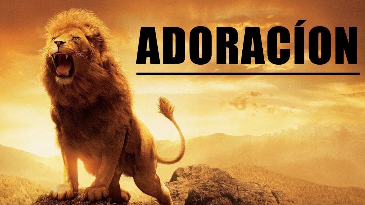 💕Adoraci&oacute;n Extrema 💕 Para Orar Y Adorar A Dios 💕 M&uacute;sica de Adoraci&oacute;n Cristiana