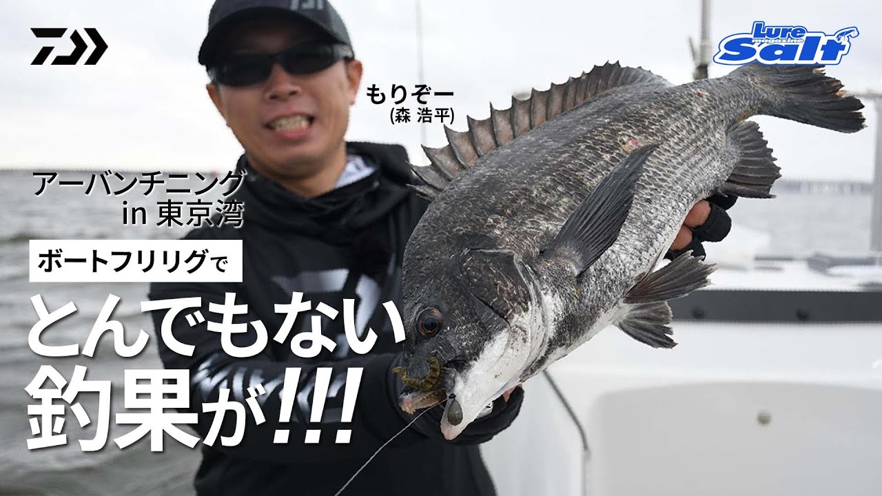 [チニング]3時間で17枚！もりぞーがボートからフリーリグで狙う、東京湾のクロダイ・キビレ