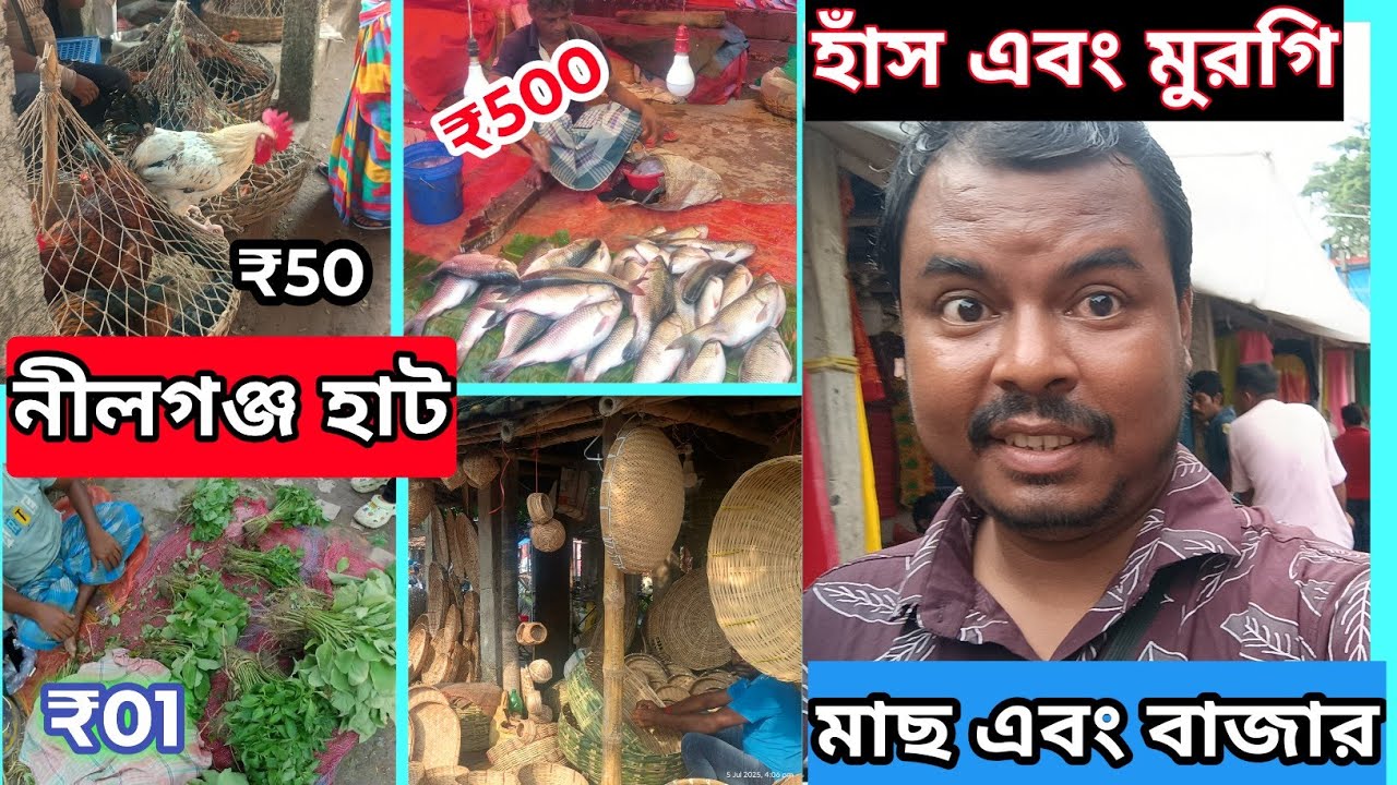 নীলগঞ্জ হাট। Nilganj Pet Market. Nilganj hat