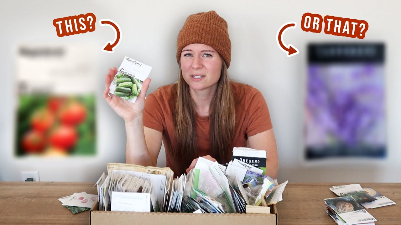 Ranking The BEST Seed Companies? (#1 Shocked Me) | Value, Germination + Selection