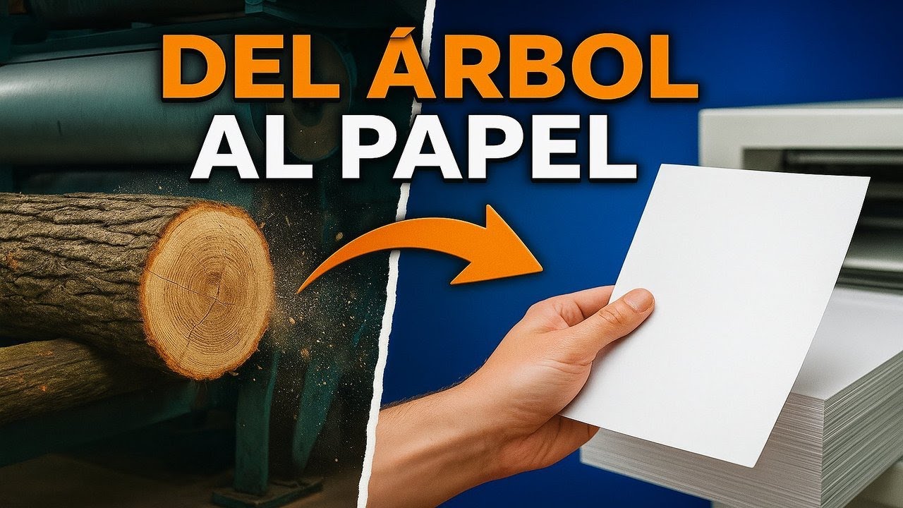 As&iacute; Se Fabrica el Papel 📜 | De los &Aacute;rboles 🌳 Hasta Tus Manos