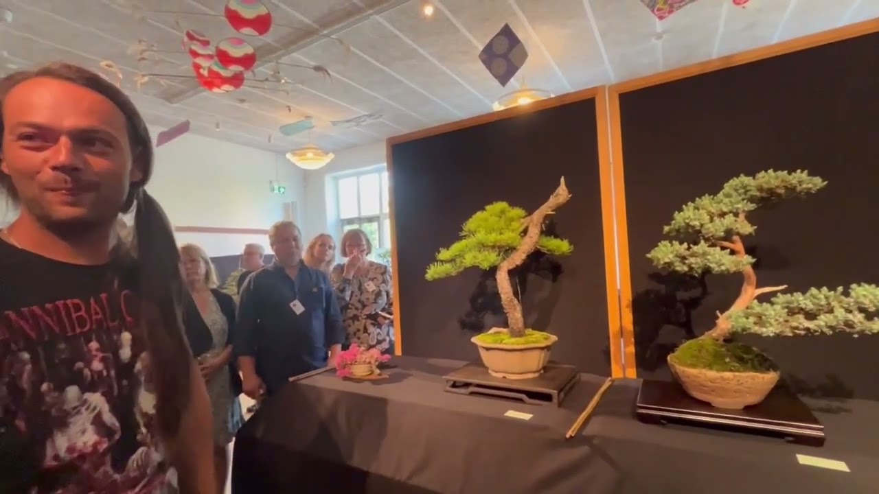 Bonsaievent Enografiska museet Stockholm 2024 del 2