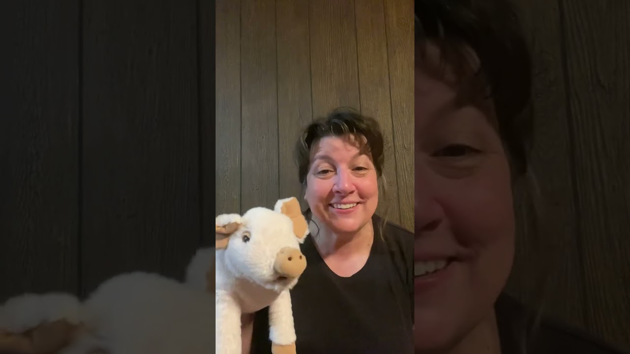 Pig Puppet