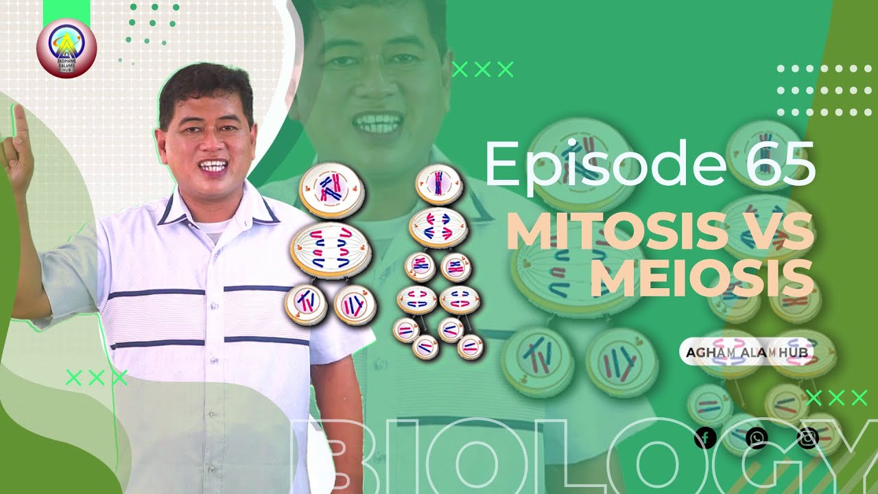 AAH Episode 65: Mitosis vs. Meiosis