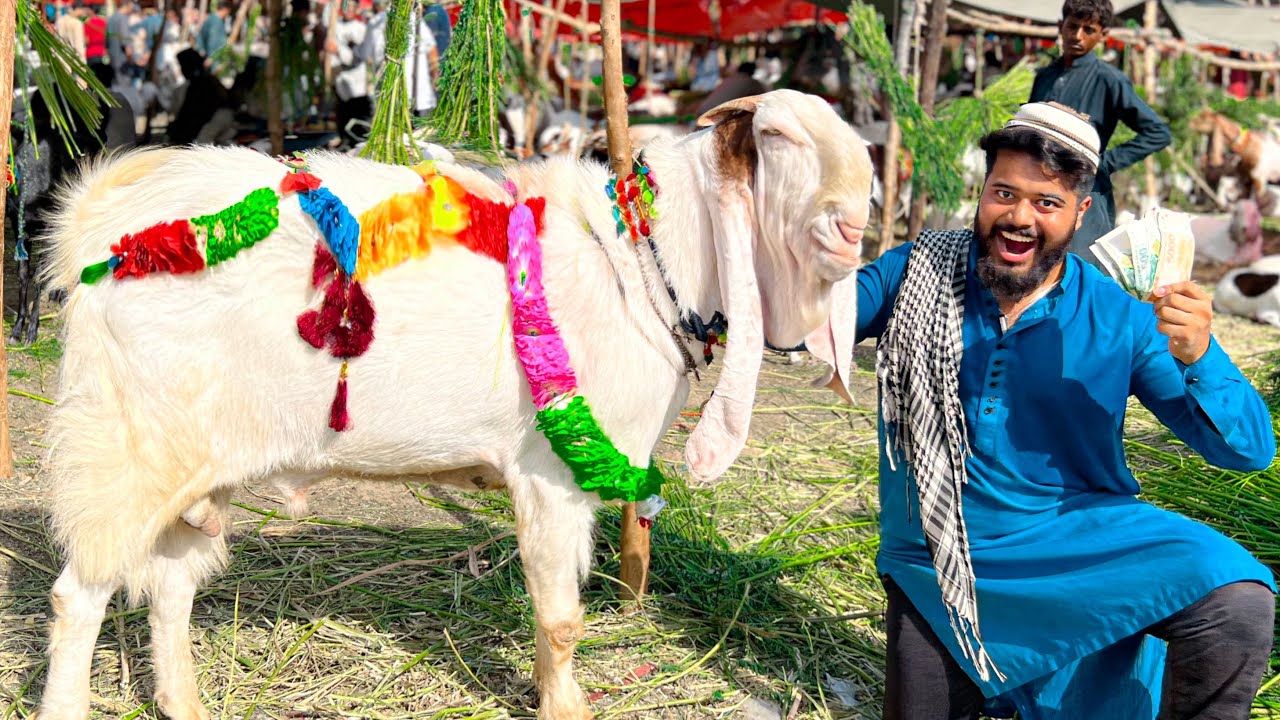 APNA BAKRA LE LAYA 😍 ALHAMDULILLAH |SODA HO GAYA | SYED FAHAD