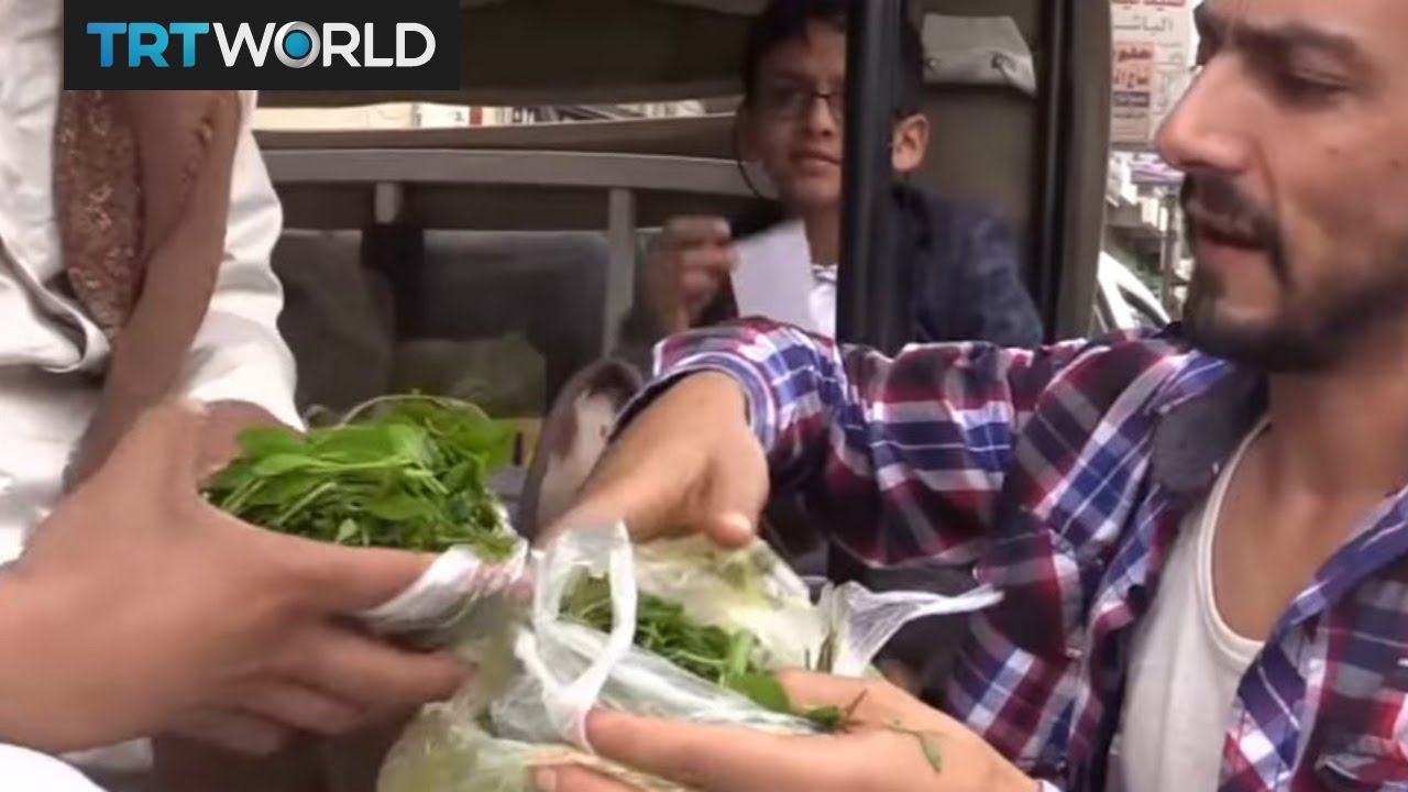 Money Talks: Khat business in Yemen