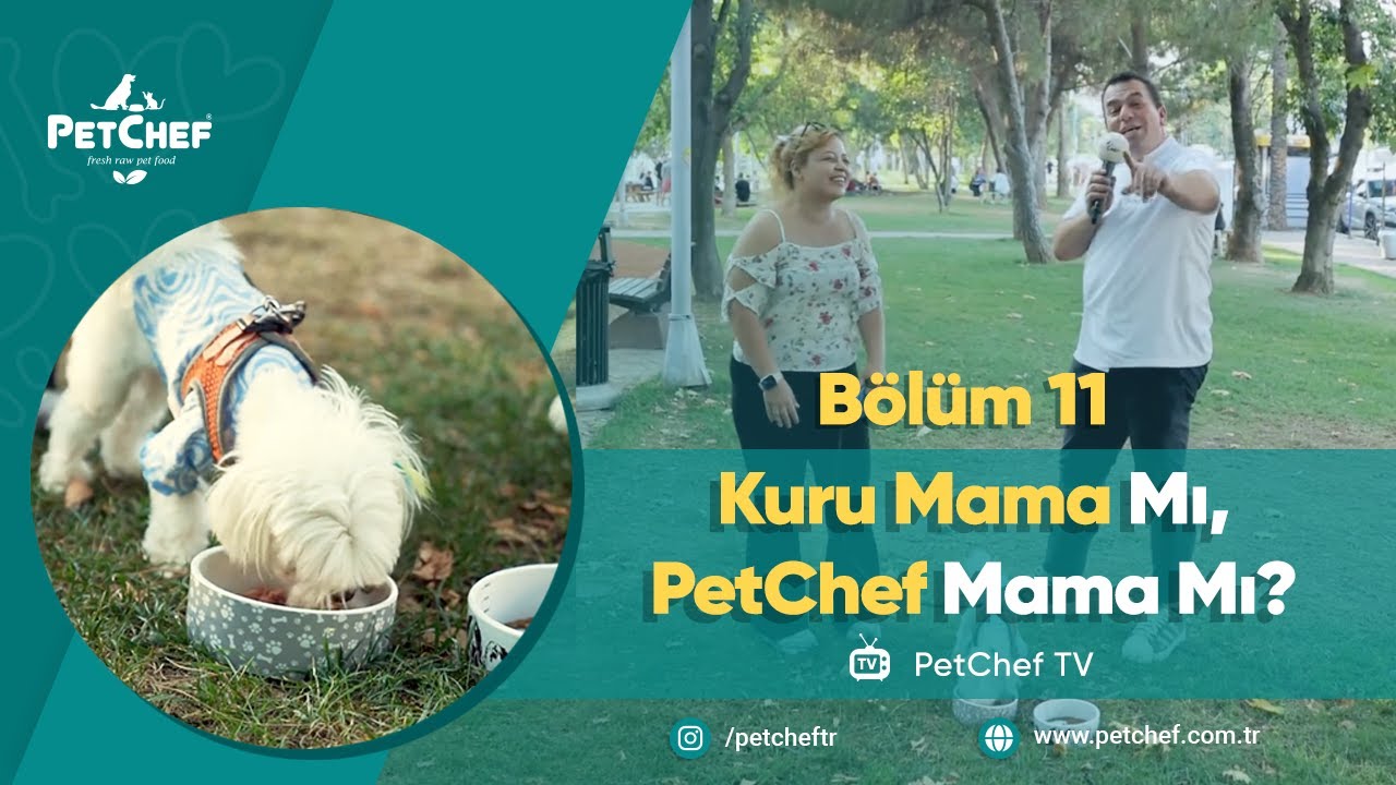 KURU MAMA MI, PETCHEF MAMA MI? I B&Ouml;L&Uuml;M 11