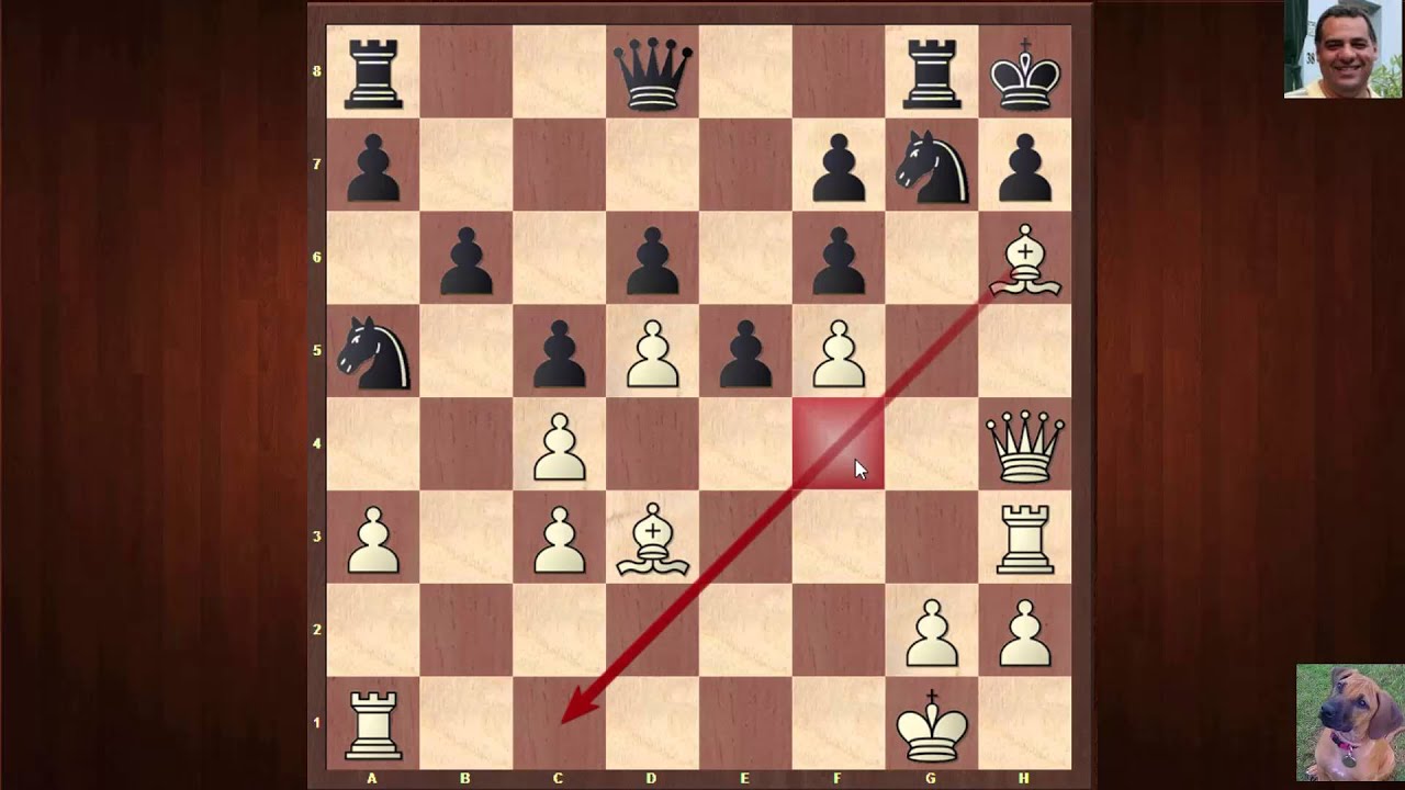 Evolution of Chess Style #167: David Bronstein vs Miguel Najdorf : Budapest Candidates (1950)