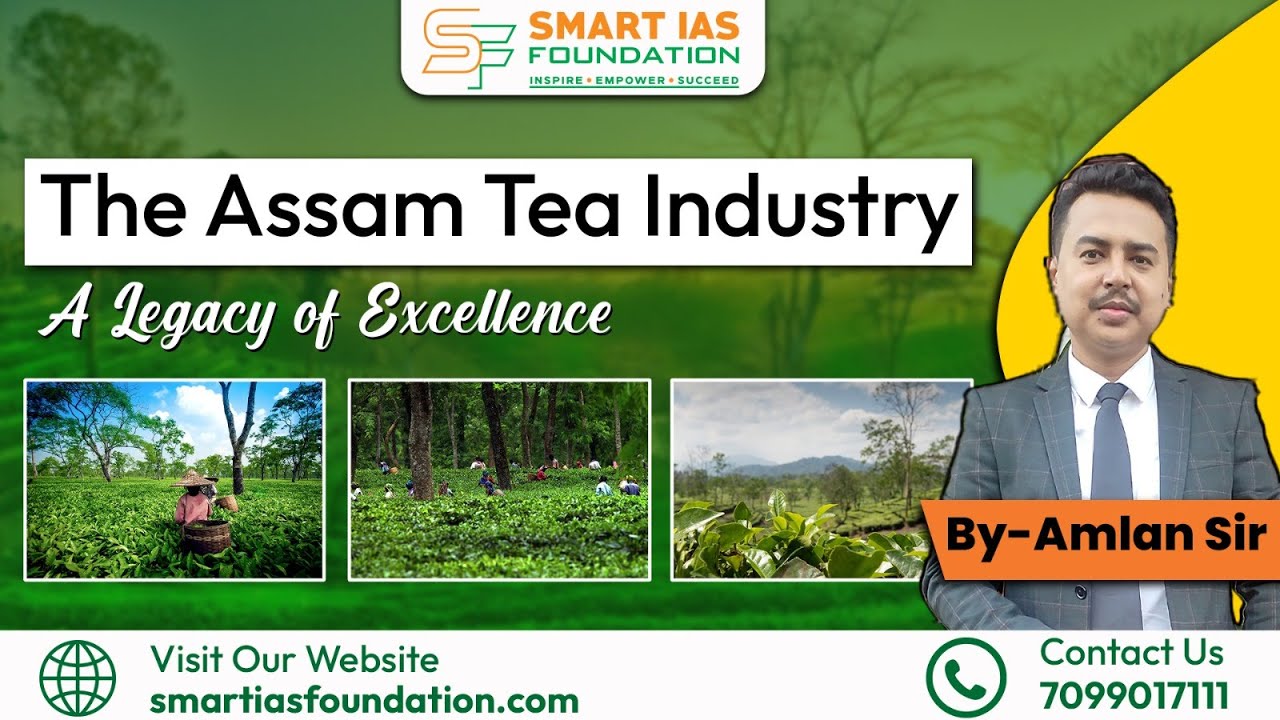 The Assam Tea Industry: A Legacy of Excellence
