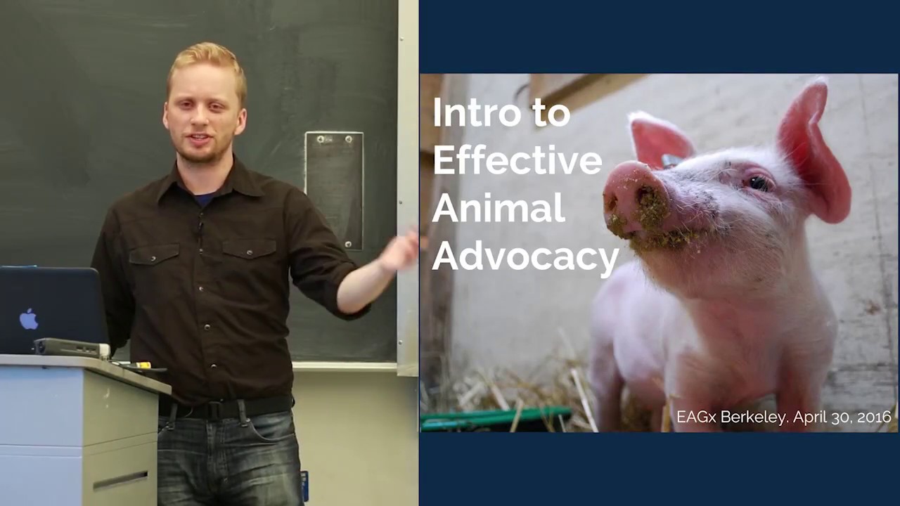 Intro to effective animal advocacy | Jacy Reese | EAGxBerkeley 2016