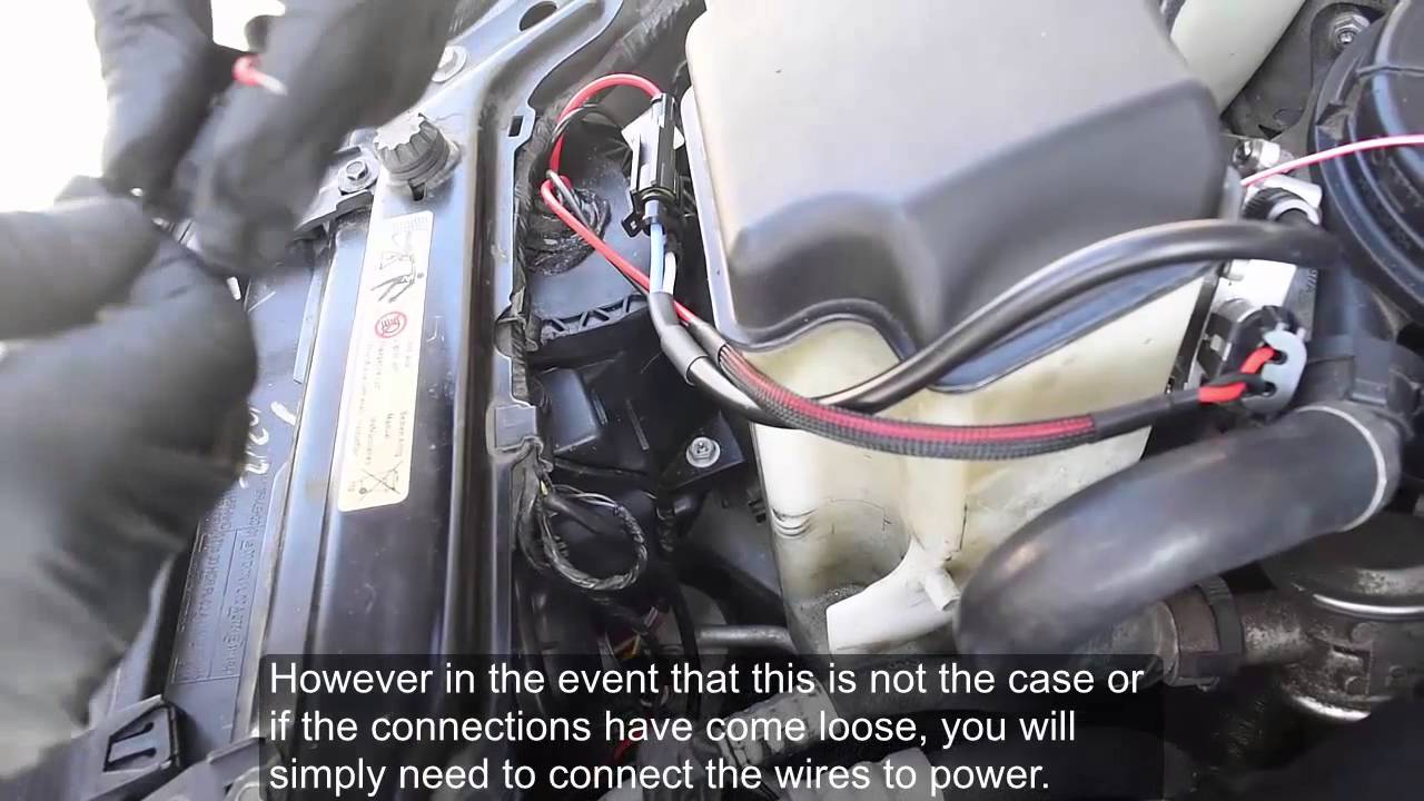 Angel Eye Wiring Harness Installation