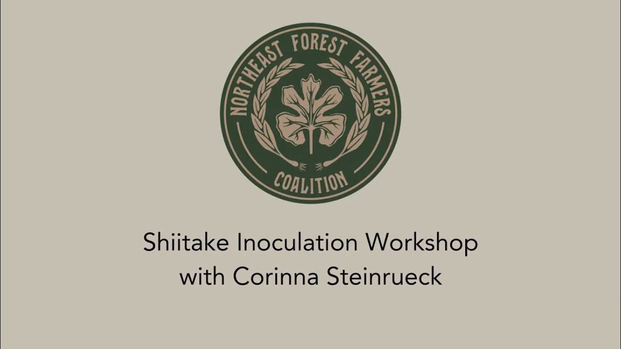 2024 Northeast Forest Farming Conference - Shiitake Inoculation Workshop