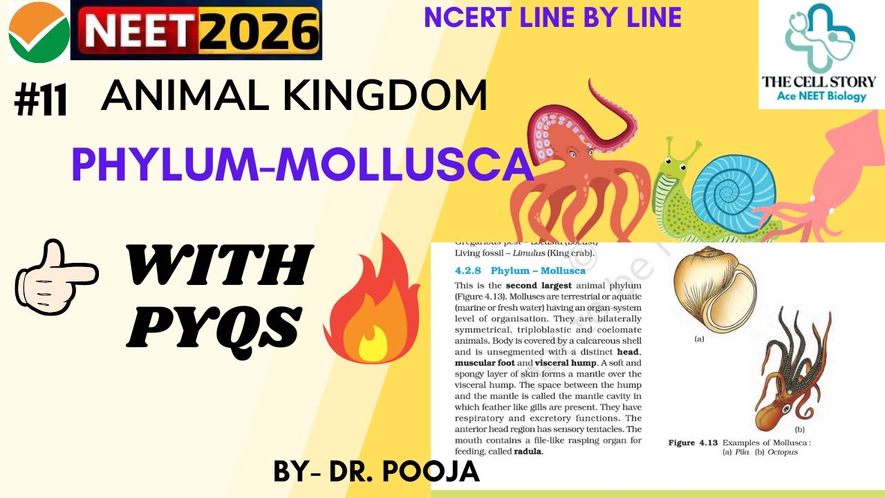 Mollusca Mastery: NEET Revision Made Easy!#neet #mollusca