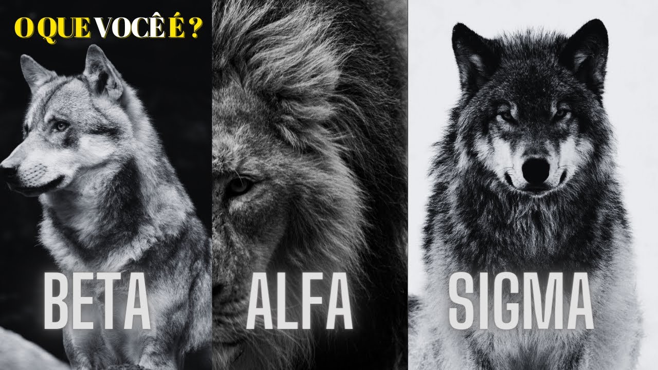 Descubra os segredos dos homens alfa, beta e sigma: Os arqu&eacute;tipos masculinos contempor&acirc;neo