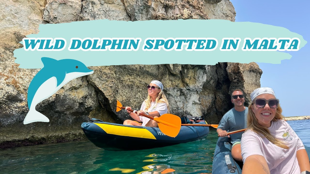 Is it rare to see dolphins in Malta? 🐬🇲🇹