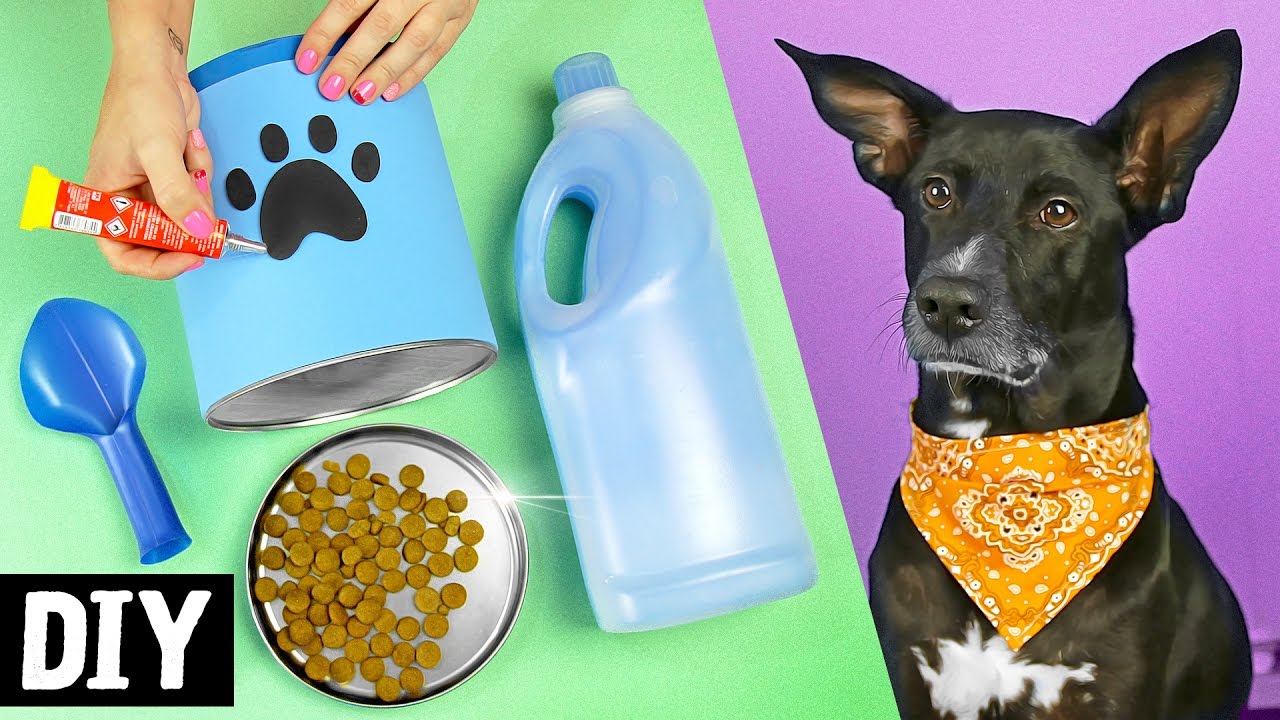 DIYs 🐶 Pet Lovers 🐾 Lenço, Potinho de Ração e +