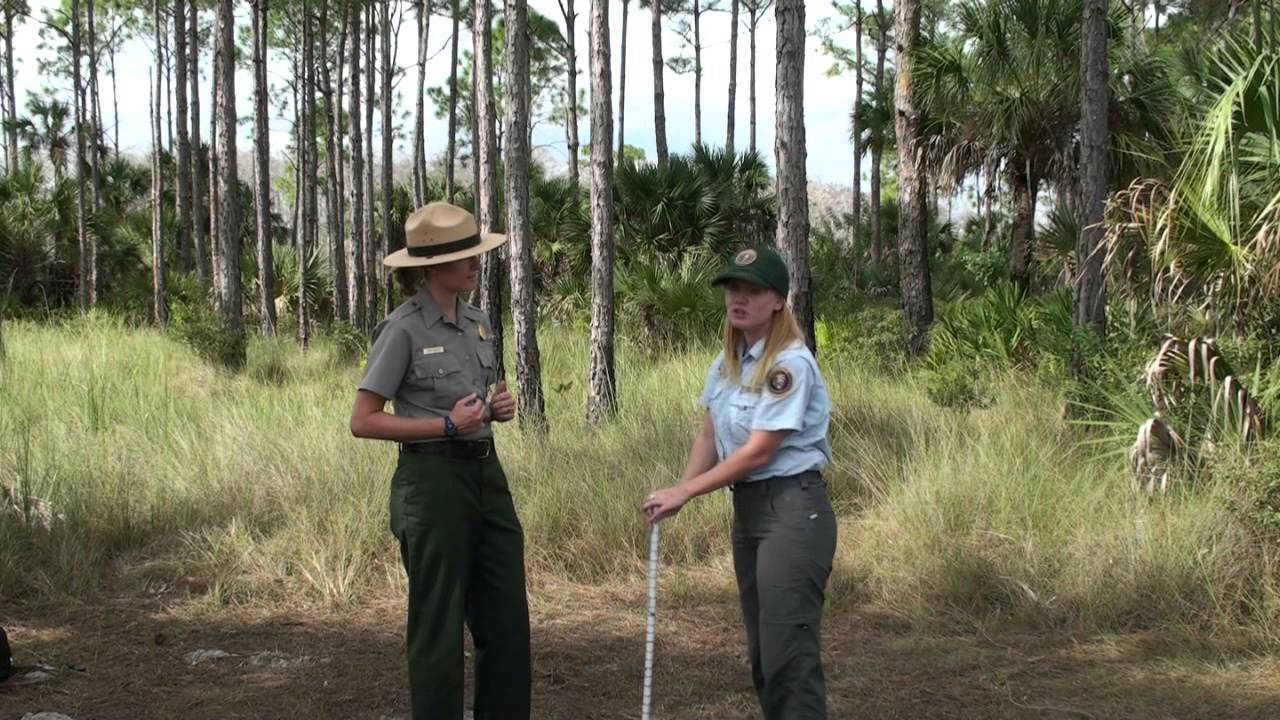 Testing Soil Depth