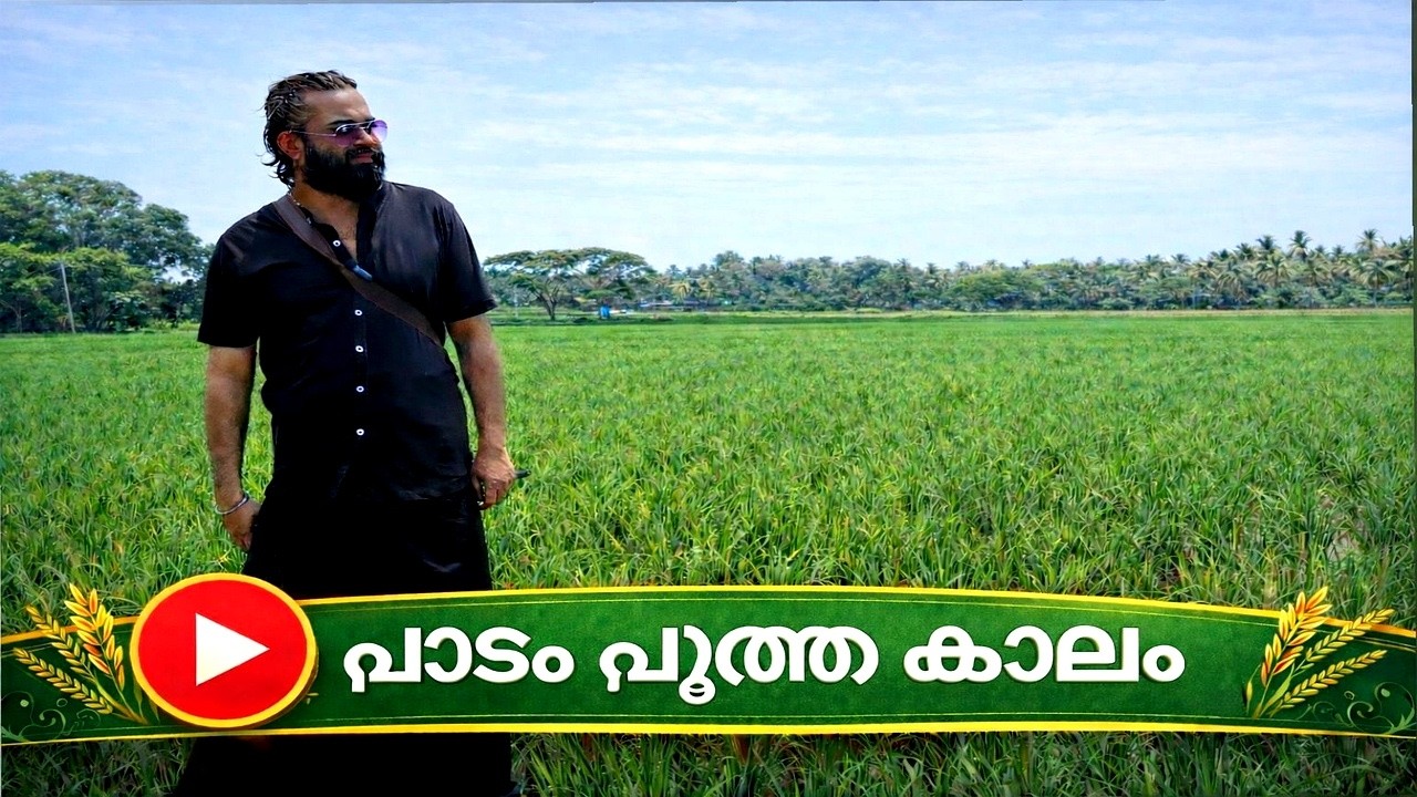 ഇത് ബാലിയോ മാലിയോ ഒന്നും അല്ല, മ്മ്‌ടെ സ്വന്തം കുന്നംകുളം ആണ്|പാടങ്ങൾ അത് ഒരു നൊസ്റ്റാൾജിയ തന്നെ ആണ്