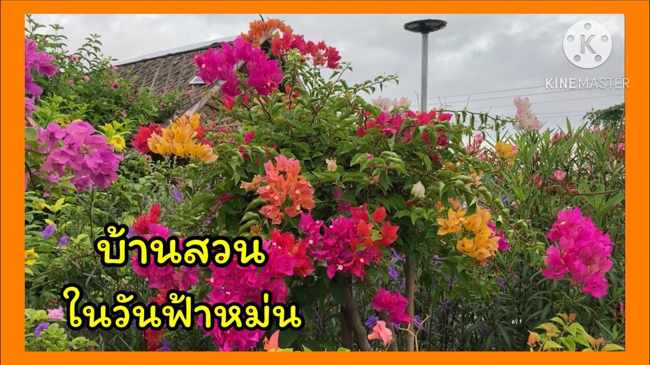 บ้านสวนในวันที่ฟ้าหม่น❤️