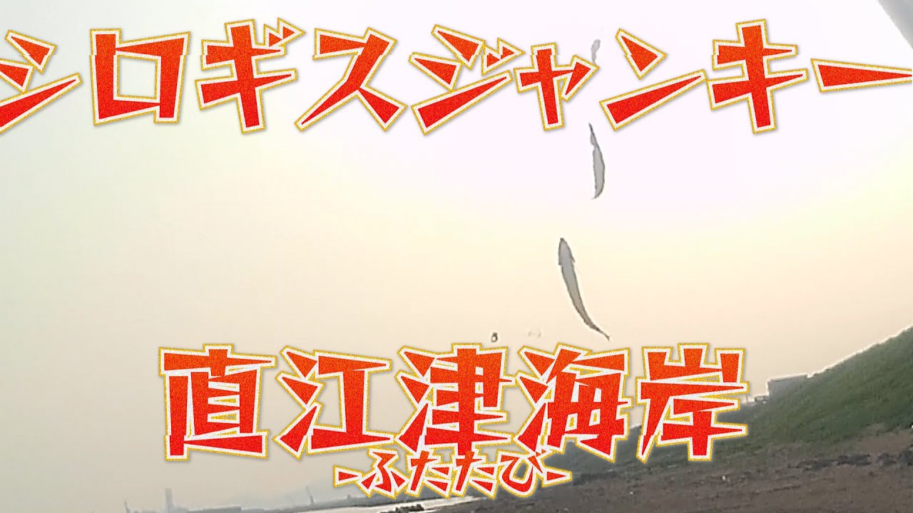 7 3 シロギスジャンキー直江津海岸 ふたたび