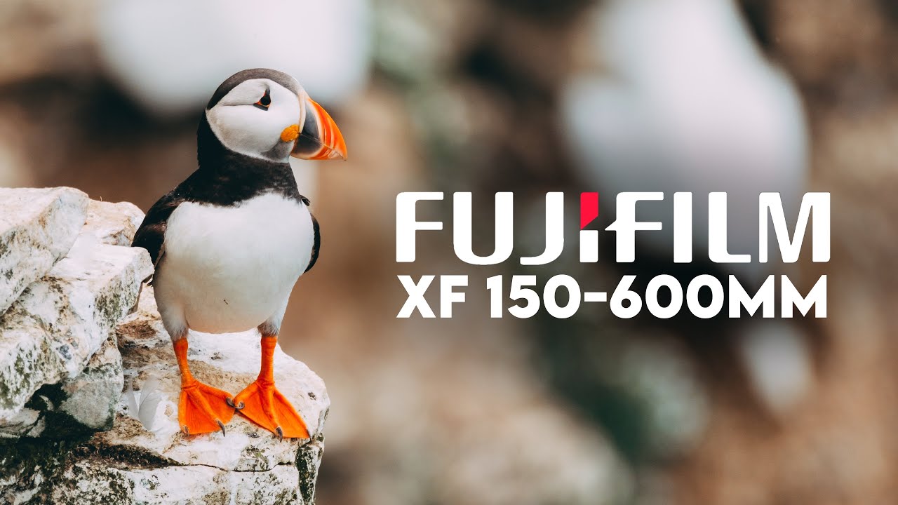 Я МЕЧТАЛ ОБ ЭТОМ ПУТЕШЕСТВИИ! — ОБЗОР FUJIFILM 150-600MM