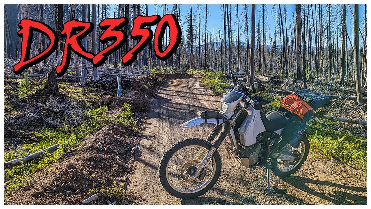 ☑️Rogue SIskyou Forest on the Suzuki DR350 || PNW Dual Sport